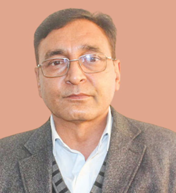 धरौटीमा रिहा गर्न माग गर्दै टोपबहादुर रायमाझीले दिए अदालतमा निवेदन 