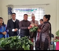 गर्भवती र सुत्केरीलाई कुखुराको भाले र अण्डाको क्यारेट