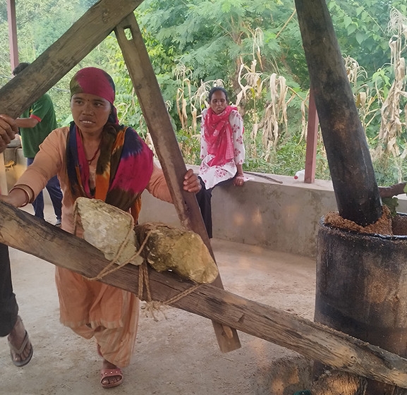 चिउरीको दाना पेलेर घ्यूको जोहो गरिँदै