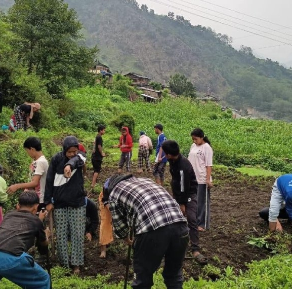 ‘धवलागिरिको इच्छा, गरिखाने शिक्षा’
