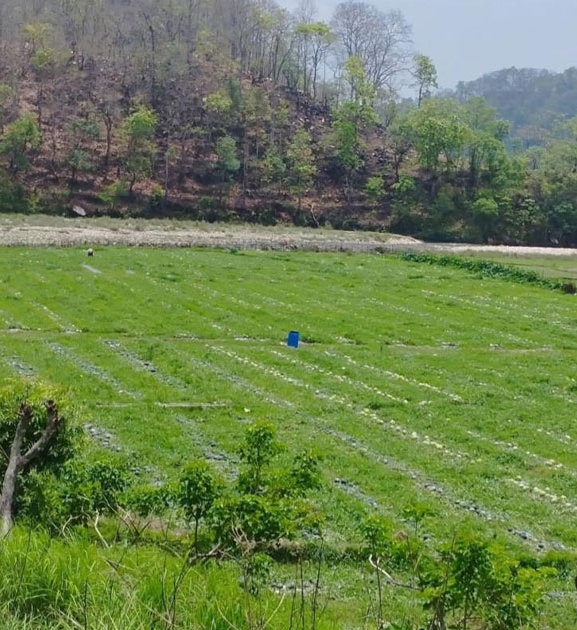 सुरौदी खोला कटान : वर्षौँदेखि चुनावी मुद्दा, पीडितका समस्या उस्तै