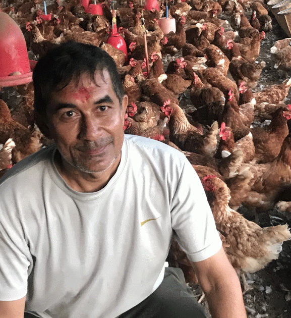 कुखुरा पालनबाट मासिक एक लाख आम्दानी