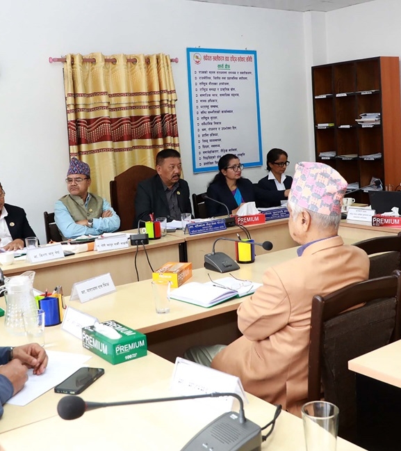 मनसुनअघि नै जोखिमको आंकलन गरेर पूर्वतयारी थाल्न सरकारलाई निर्देशन