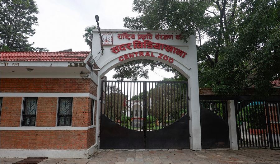 बर्डफ्लु संक्रमण लुकाएको आरोपमा चिडियाखाना प्रमुख साह छानबिनमा