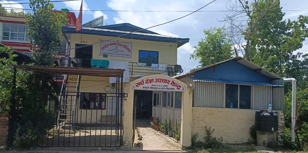 गर्मी र वर्षाले बढ्यो सर्पको बिगबिगी