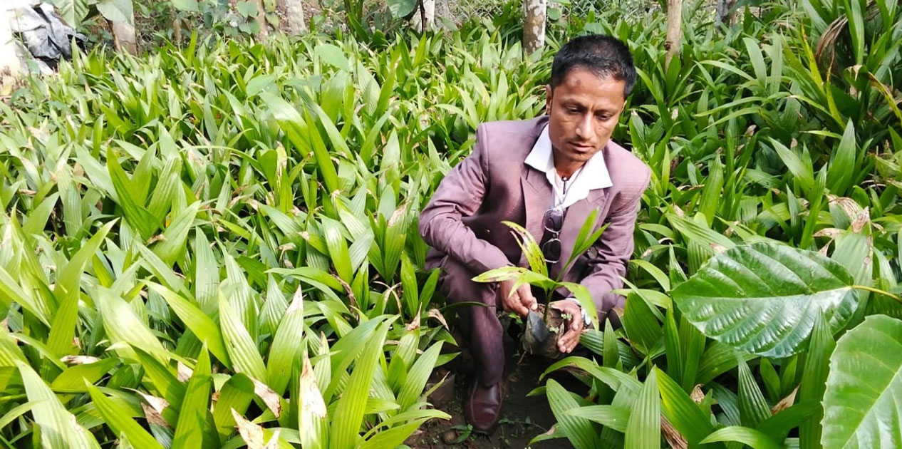 सफलताका कथा :  जीवनको तस्बिर बदलेका उद्यमी भीमबहादुर