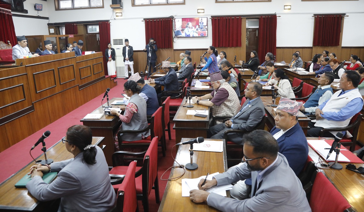 राष्ट्रिय सभामा जनसरोकारका विषयमा सरकारको ध्यानाकर्षण