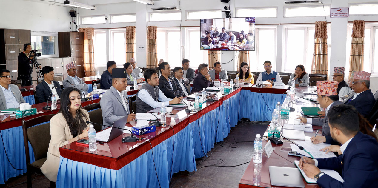 सडक सुरक्षामा प्रविधि, जनचेतना र कानुन कार्यान्वयनमा जोड