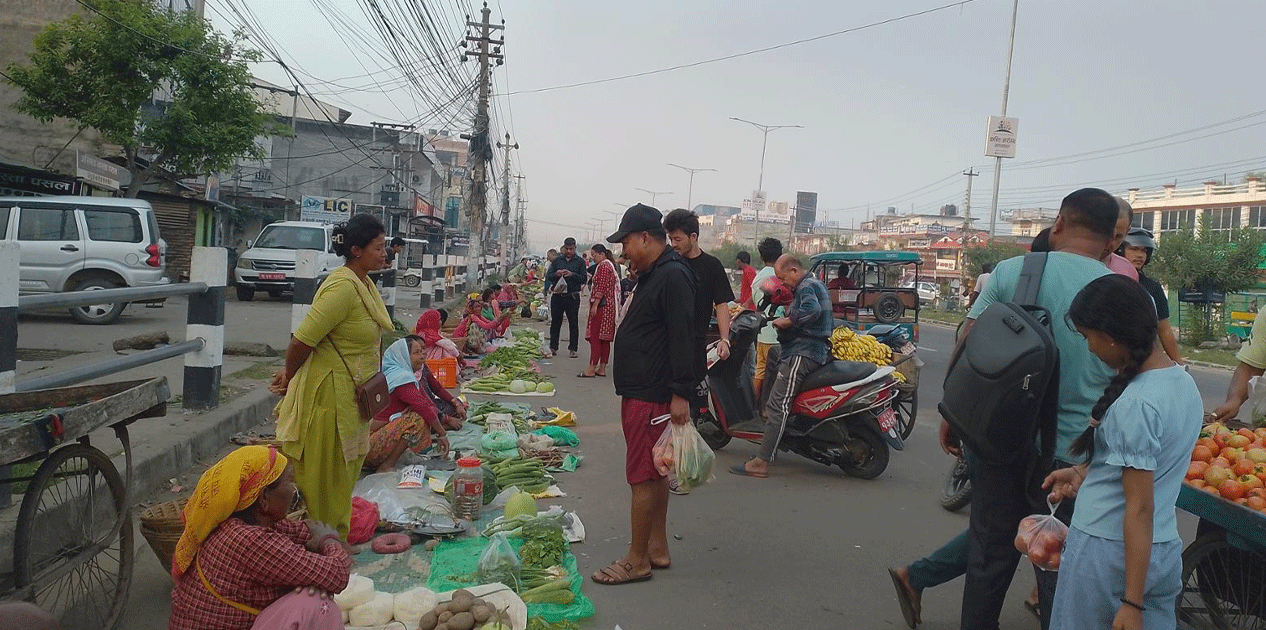 थारू महिलाको पौरख : नेपालगञ्जलाई अर्गानिक स्वाद