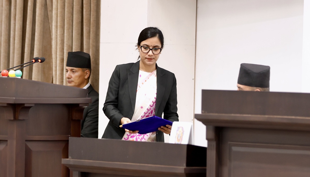 प्रतिनिधिसभाबाट राष्ट्रिय सेवा दल विधेयक पारित
