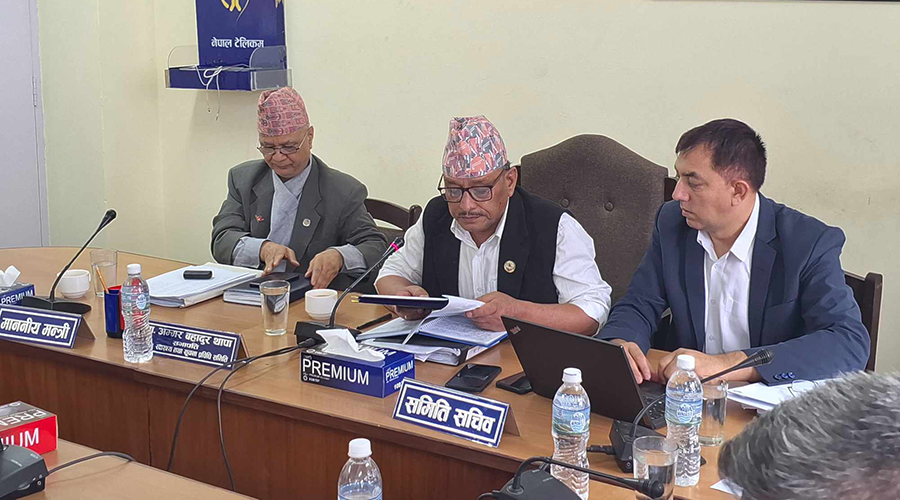 विद्यालय तहको शिक्षक हुन जुनसुकै विषय पढेकाले पनि लाइसेन्स परीक्षा दिन पाउने
