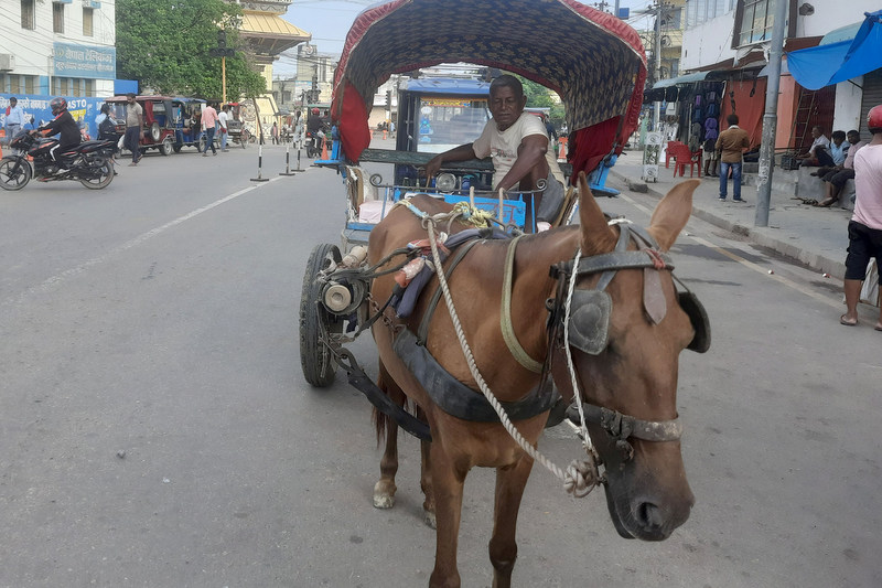 टाँगाले वीरगञ्जको ट्राफिक व्यवस्थापनमा चुनौती थप्दै