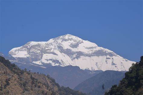 पाँच आरोहीको शव एक सातादेखि धौलागिरि हिमालमै