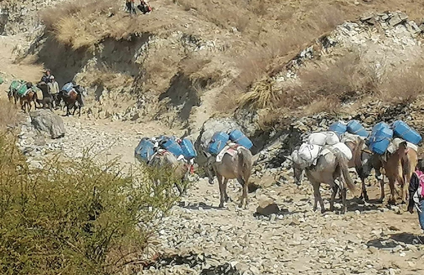 पेट्रोलियम पदार्थको मूल्य घटेपनि हुम्लामा घट्दैन यातायातको भाडा