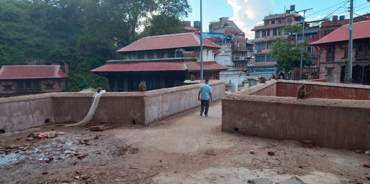 अलपत्र भएको करिब एक वर्षपछि बन्यो गौरीघाट पुल