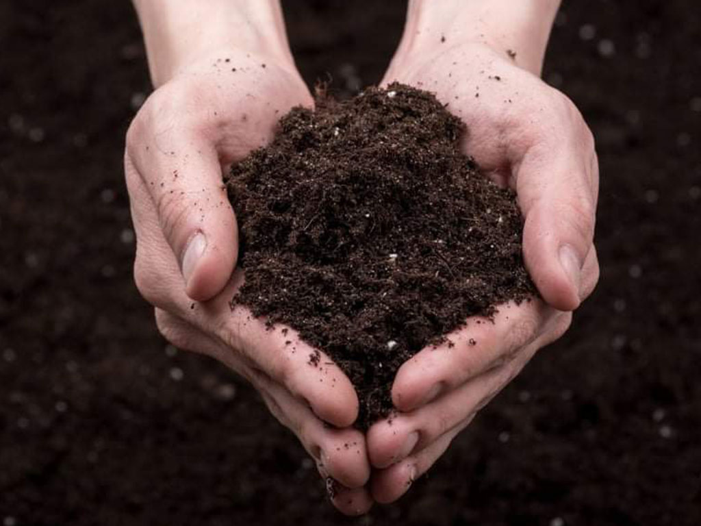 रासायनिक मलको जथाभाबी प्रयोगले माटोको उर्वराशक्ति घट्दै