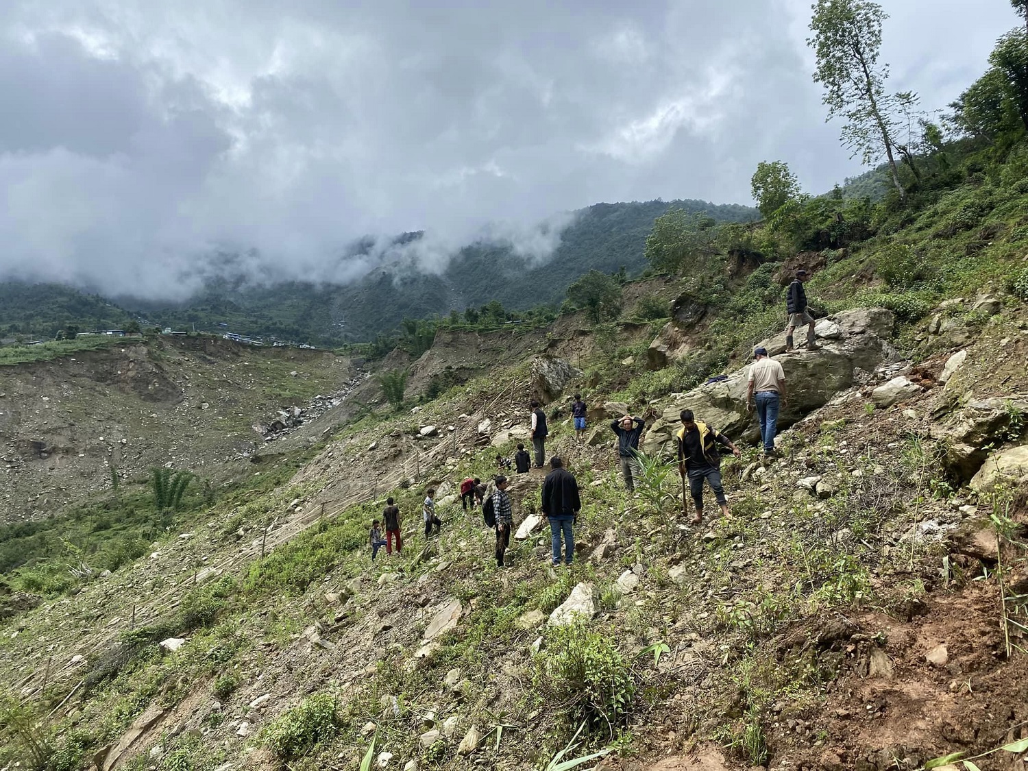 दोलखाको रानीवन क्षेत्रमा ८ हजार बिरुवा रोपियो