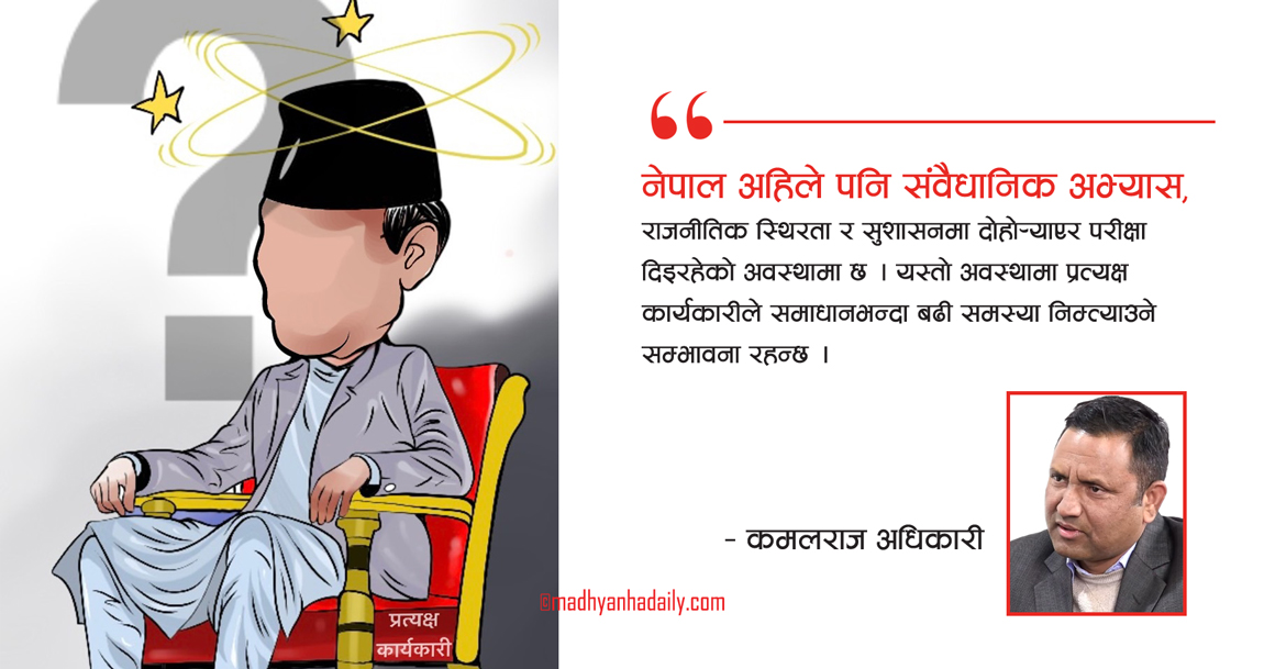 प्रत्यक्ष कार्यकारी : सम्भावना र जोखिम