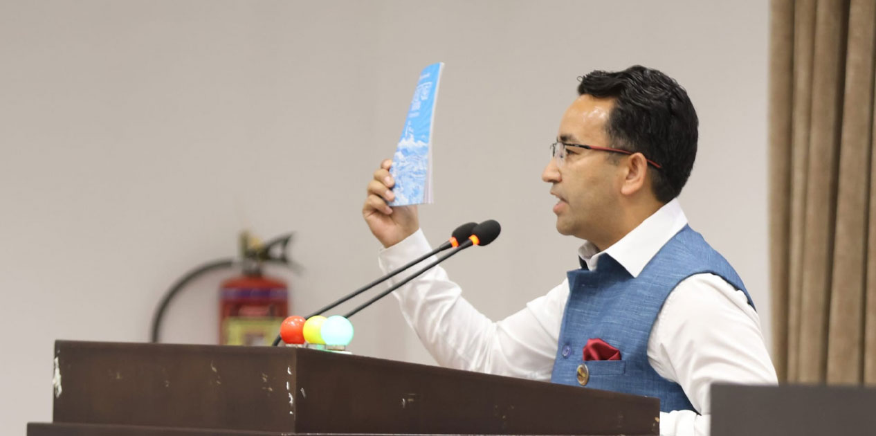 अनुभवमा कच्चा छौँ, तर शङ्का नगर्नुस् : पराजुली