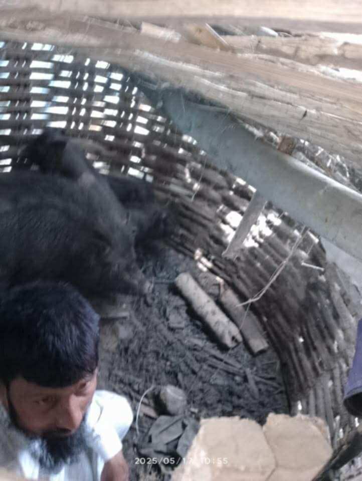 सर्लाहीमा २ व्यक्तिलाई सुँगुरको खोरमा थुनेर कुटपिट, अन्सारीद्वारा दोषीमाथि कडा कारबाहीको माग