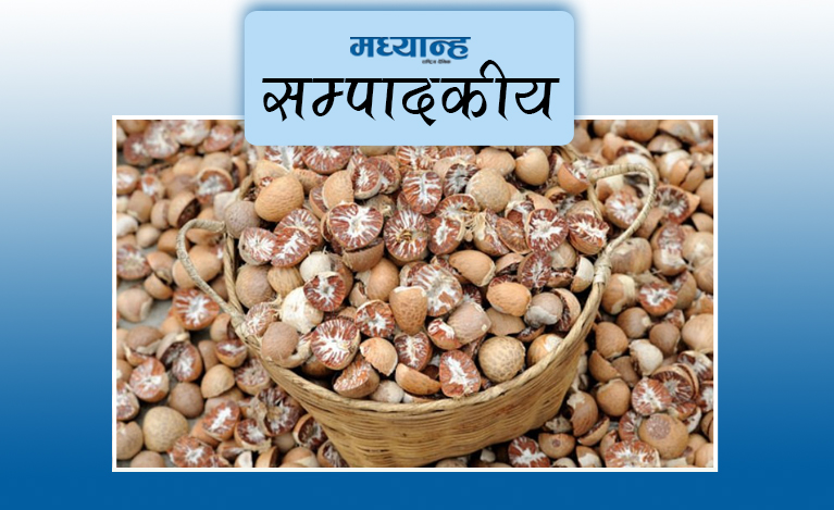 सुपारी निर्यात सहज बनाऊ