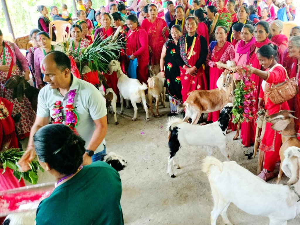 बाख्रा उपहार पाएपछि महिला खुसी