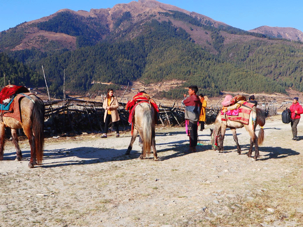 चिसो याममा पनि ढोरपाटनमा पर्यटकको चहलपहल