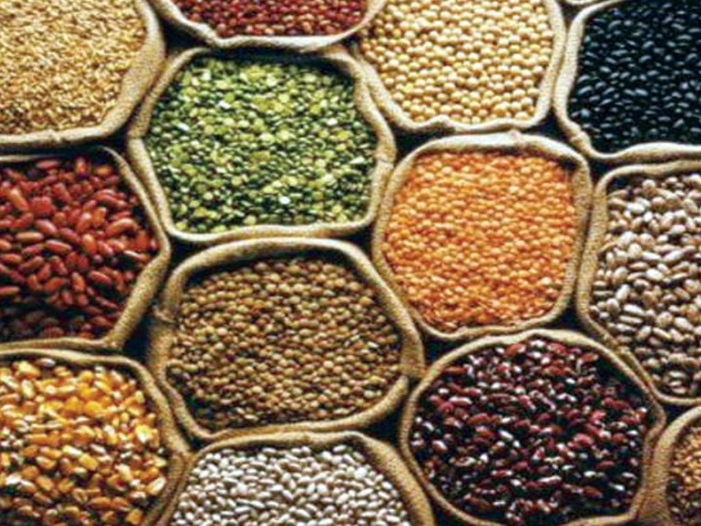 आज ४५औँ विश्व खाद्य दिवस मनाइँदै 