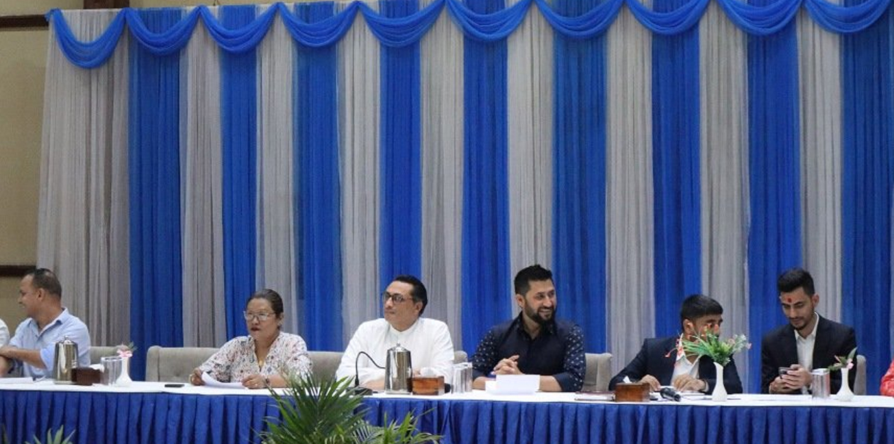 हामी लोकतन्त्रप्रति प्रतिबद्ध छौँ : सभापति लामिछाने