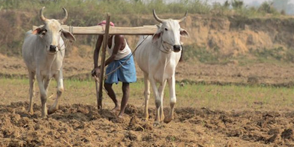 अठार लाख किसान सूचीकृत, विद्युतीय प्रणालीमार्फत सुविधा दिने तयारी