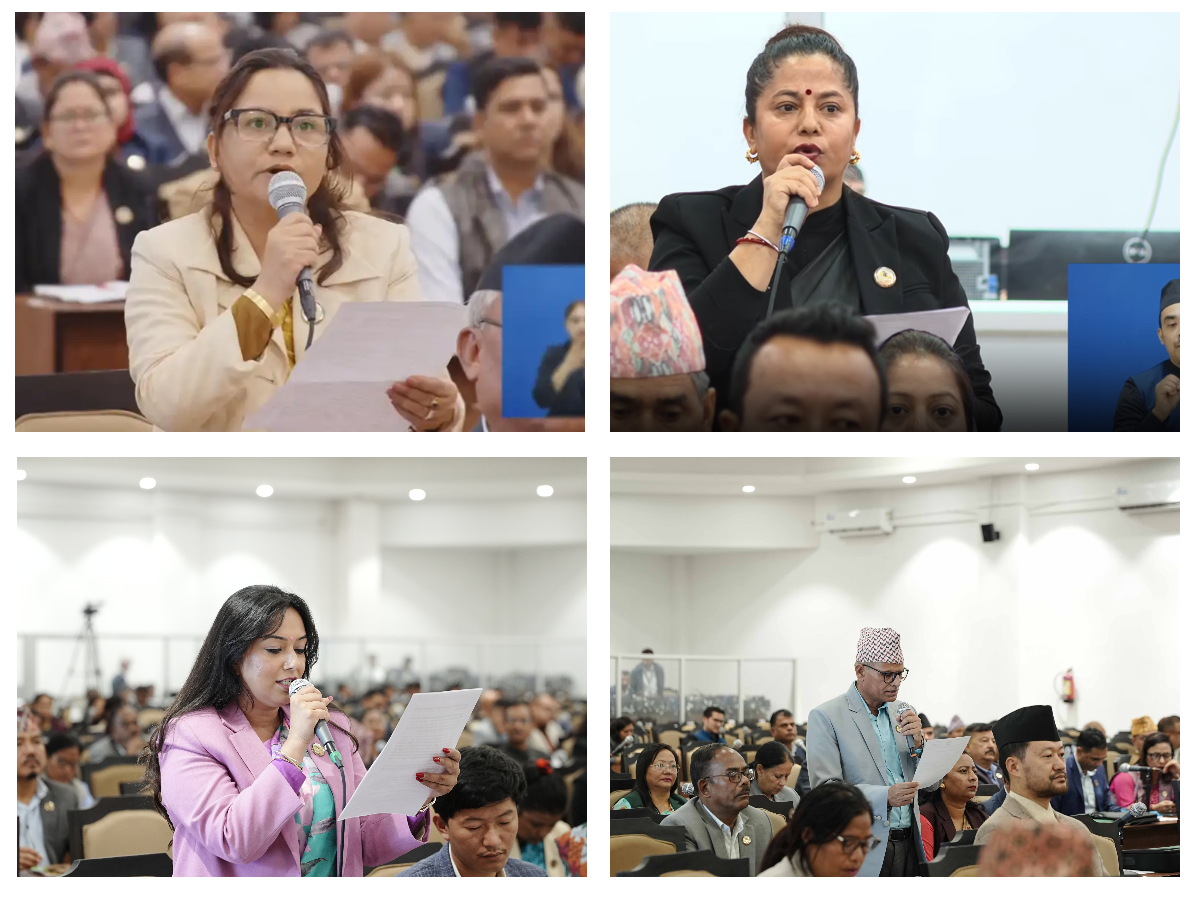 नयाँ सांसद, स्क्रिप्टेड अभिव्यक्ति