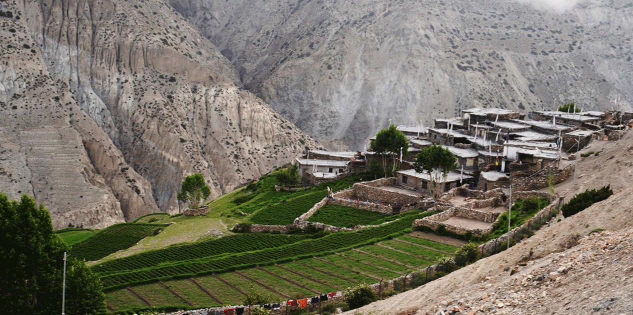 हिउँदयाममा बाँसस्थान फेरिएको मुस्ताङको साङ्ता गाउँ