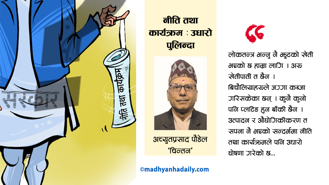नीति तथा कार्यक्रम : उधारो पुलिन्दा