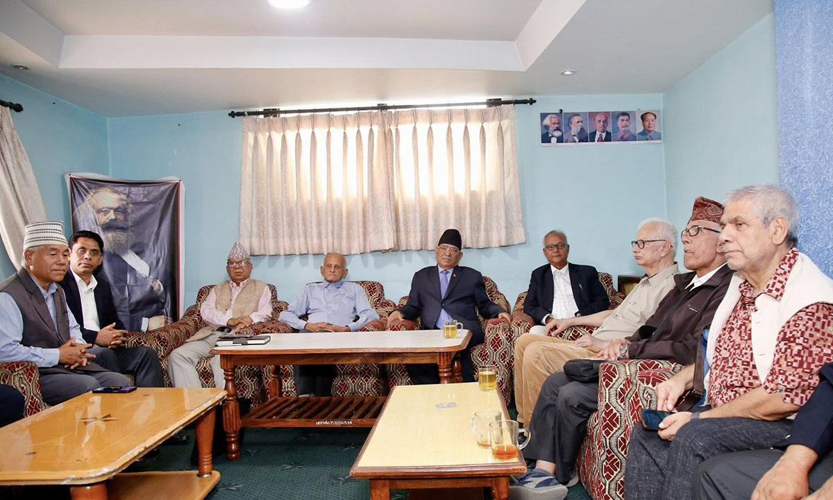 १२ दलले प्रर्दशन गर्ने
