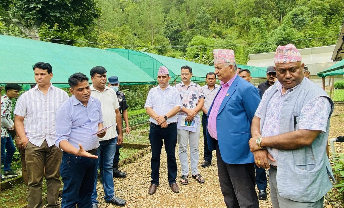 वन क्षेत्रको राजस्वले प्रदेश विकासमा महत्वपूर्ण भूमिका खेलेको छ : मुख्यमन्त्री आचार्य