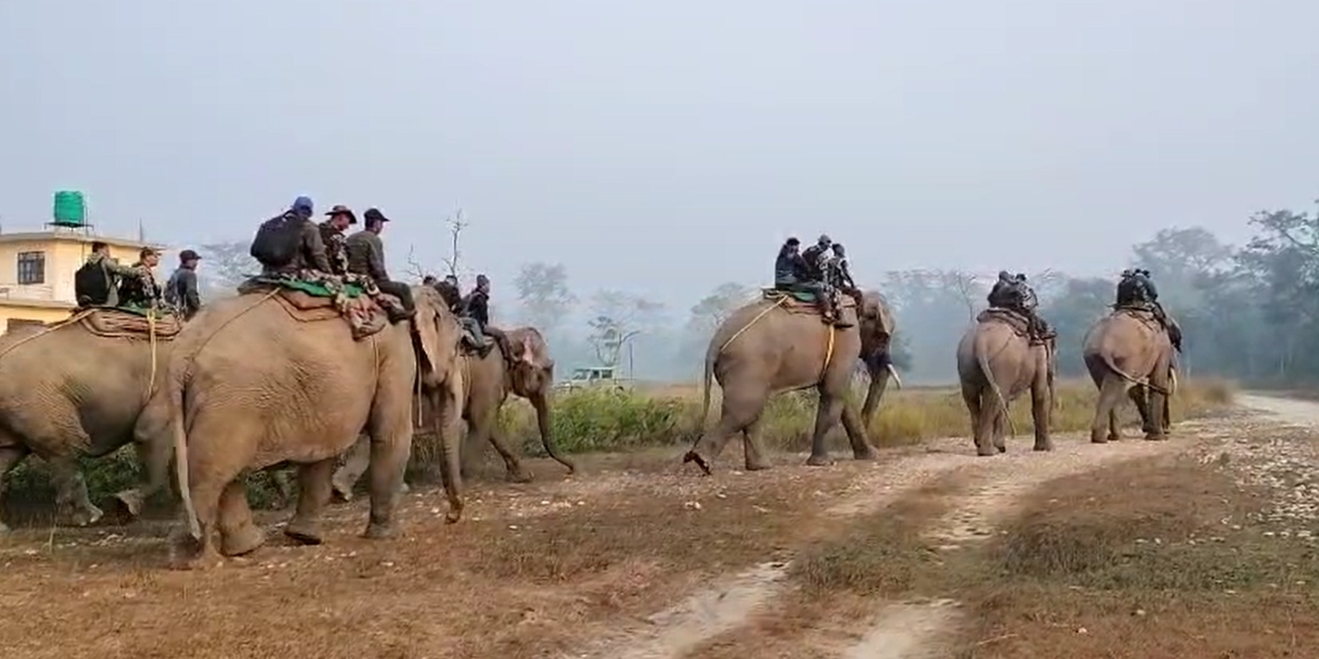 गैँडाको अवस्था तथा संख्या एकिन गर्न अनुगमन तथा स्वीप अप्रेशन