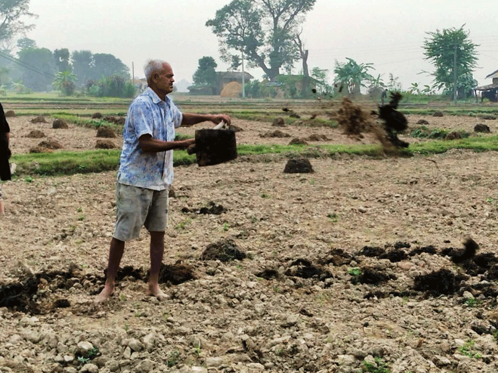 अधिया खेतीमै निर्भर छ भूमिहीन परिवार