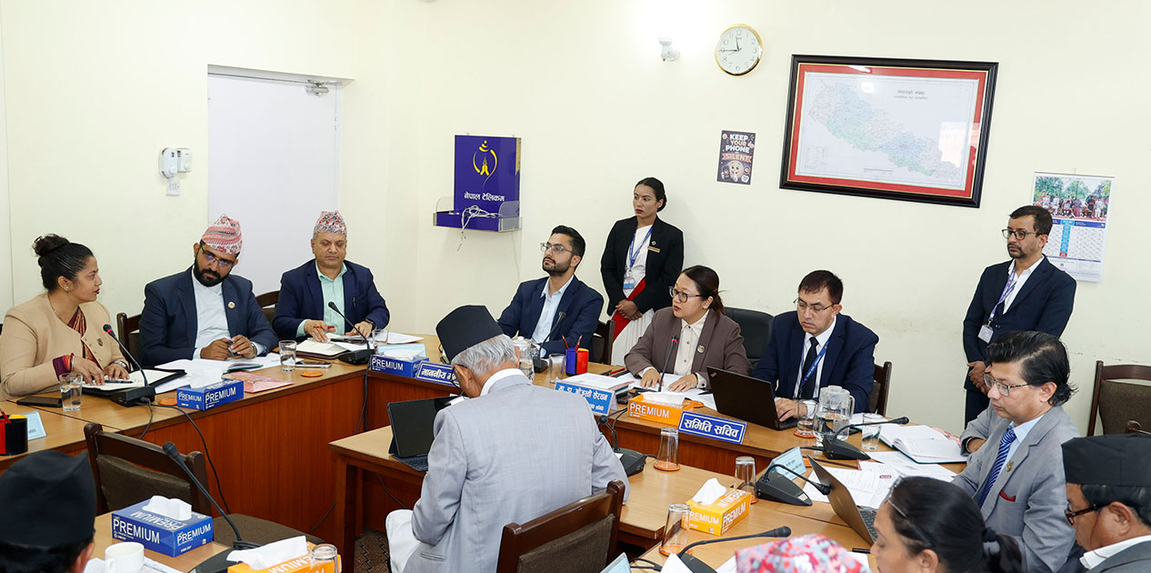 ‘ननग्रेडेड’ विद्यार्थीका लागि पूरक परीक्षा तयारी कक्षा सञ्चालन गरिनेछ : शिक्षामन्त्री पोखरेल