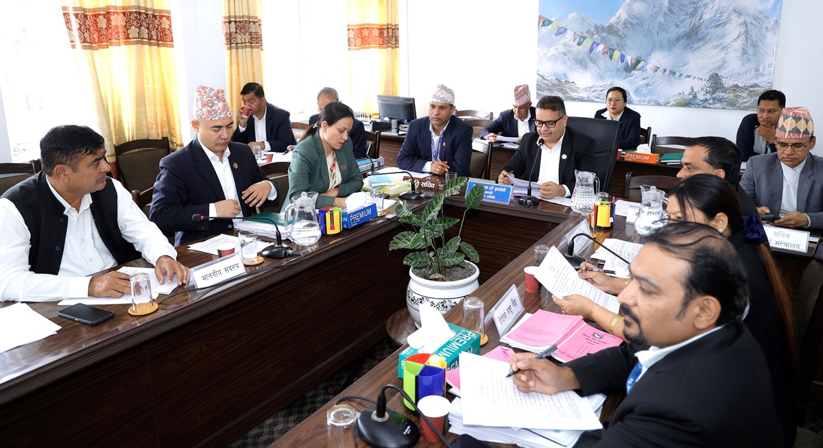 राष्ट्र बैंक ऐन संशोधन विधेयकको प्रतिवेदन सर्वसम्मत पारित