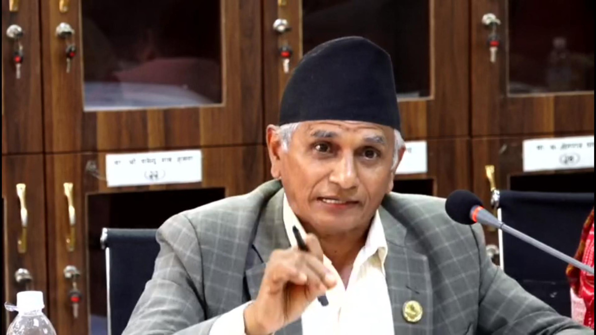 विधेयक पारित हुन सरकारकै कारण ढिलाइ भइरहेको छ : प्रमुख सचेतक पाण्डे