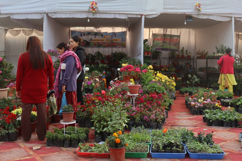 सौखका लागि रोपेको फूल बन्यो आम्दानीको स्रोत