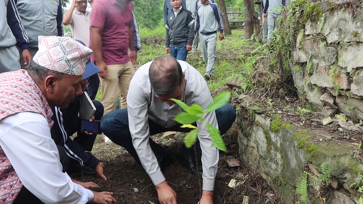 कर्णालीमा एक महिनामा दुई लाख बढी बिरुवा रोपियो