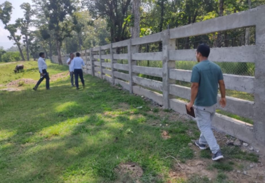 मानव-वन्यजन्तु द्वन्द्व न्यूनीकरणका लागि ठाकुरबाबामा कंक्रिट पर्खाल