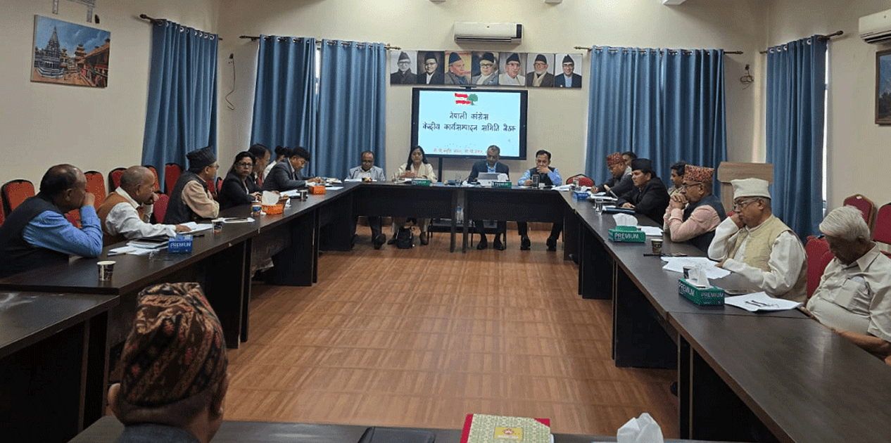 सानेपामा कांग्रेस कार्यसम्पादन समितिको बैठक जारी