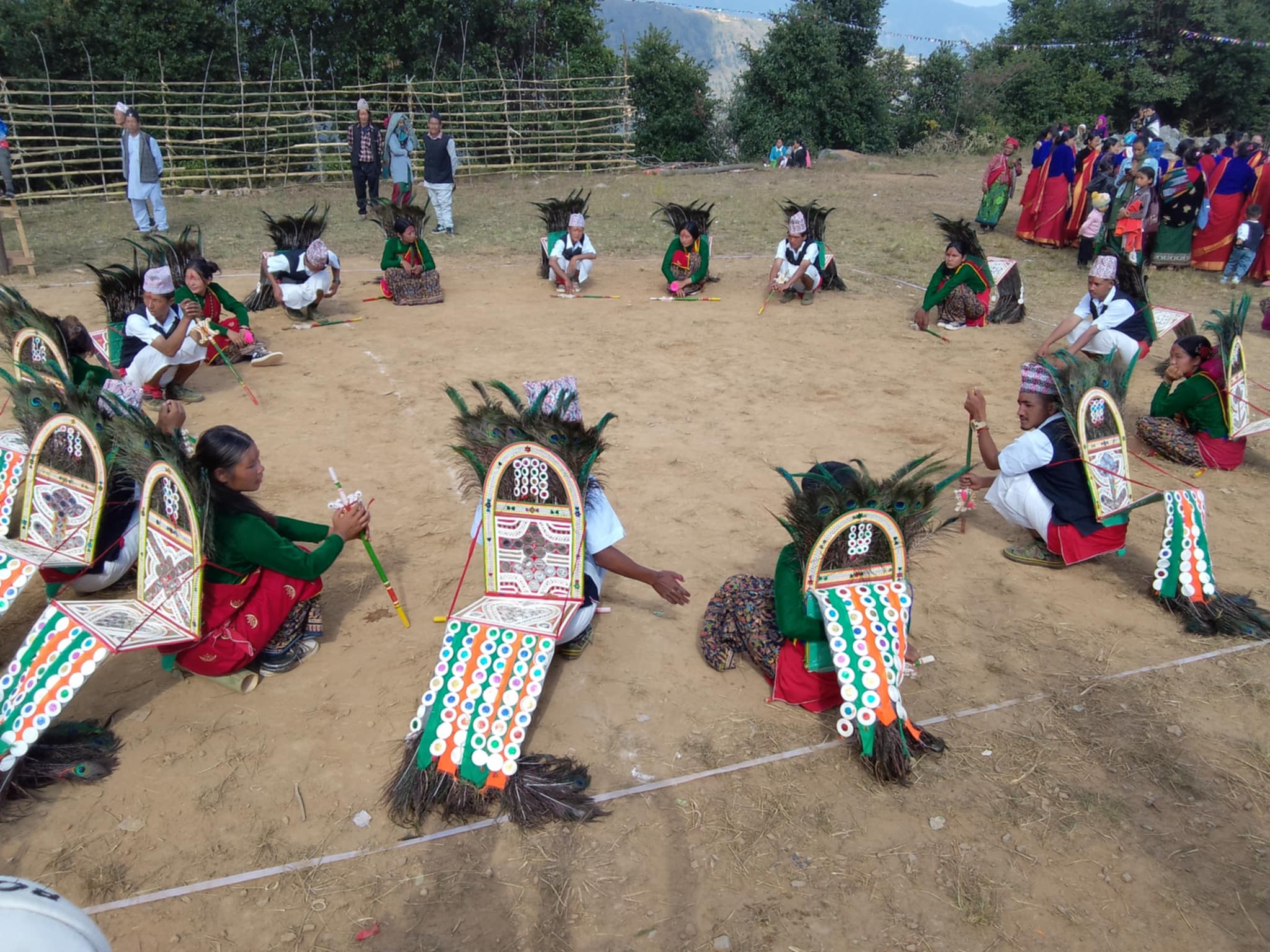 लोप हुँदै मयुर नाच