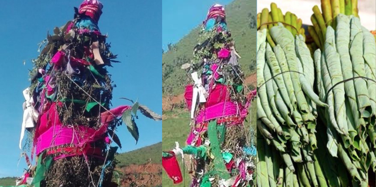 सुदूरपश्चिममा आज ओल्के पर्व मनाइँदै