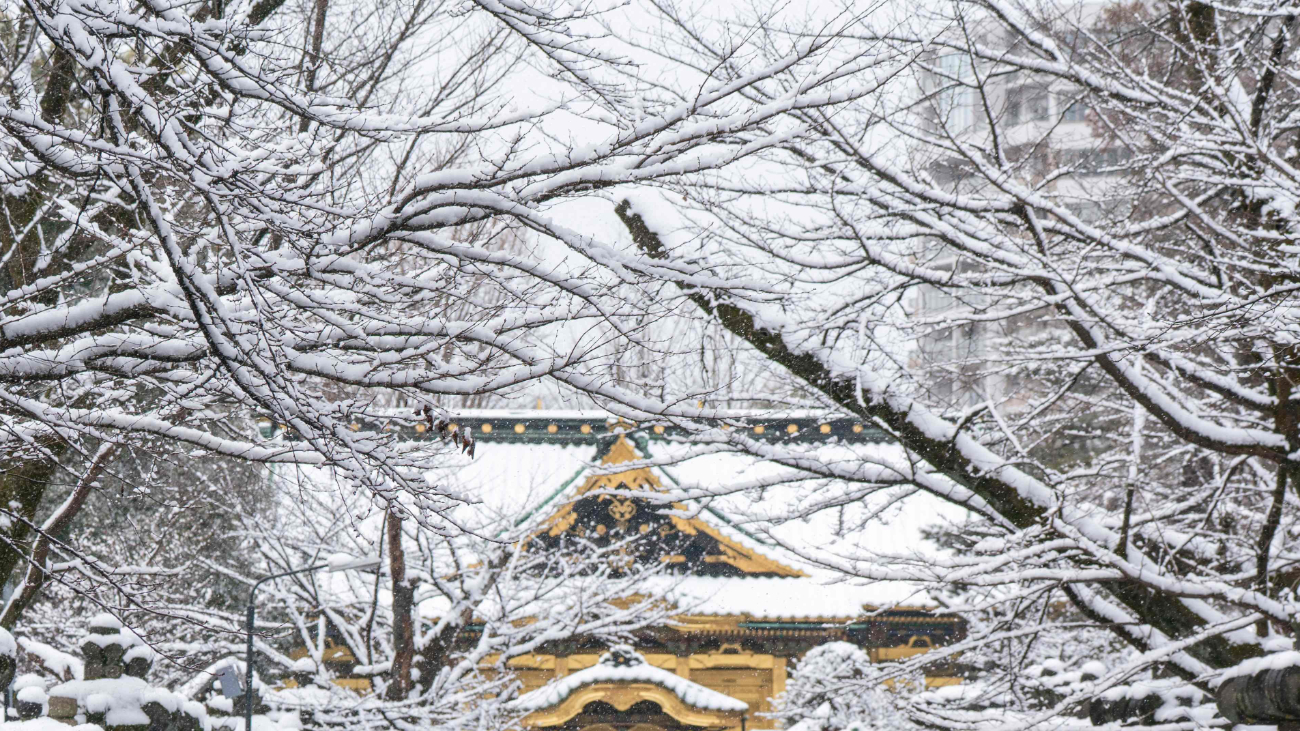 जापानमा भारी हिमपात, ४६ जनाको मृत्यु
