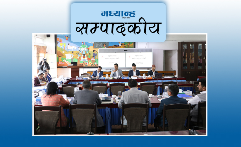 सुनुवाइ समितिको सार्थकता