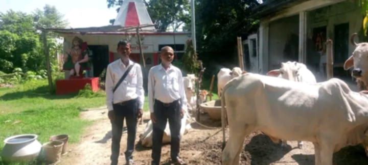 लम्पी स्किन रोगविरुद्ध खोप अभियान
