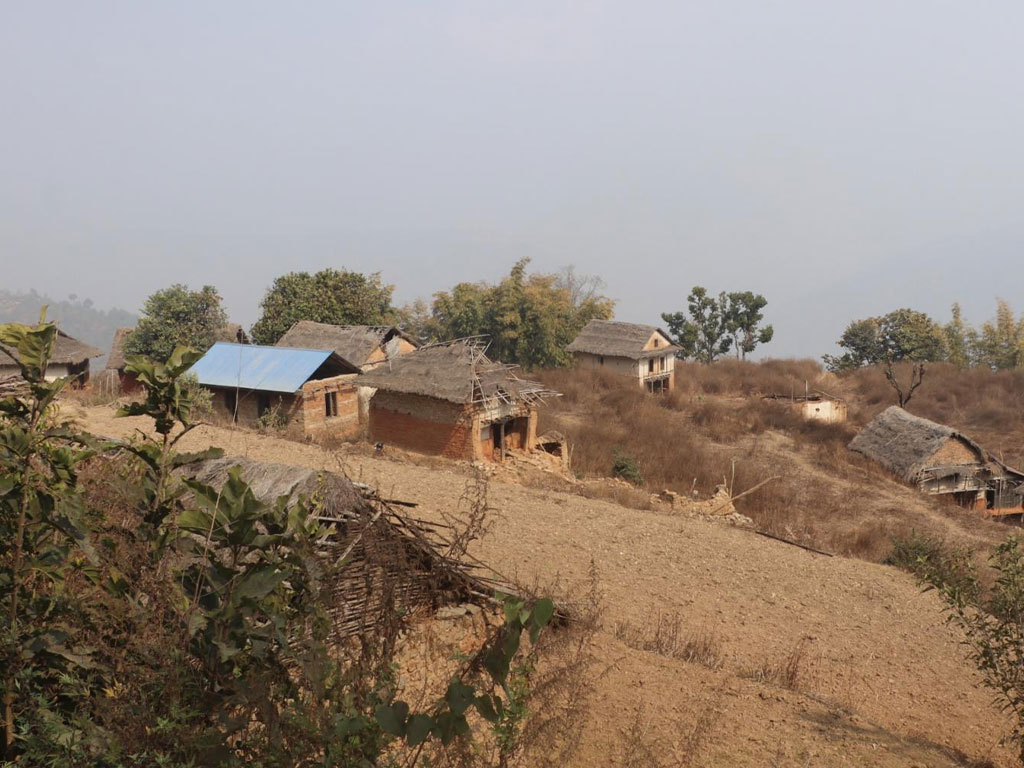 बाँदर आतंकले बसाइँसराइ बढ्दा बस्ती नै खण्डहर